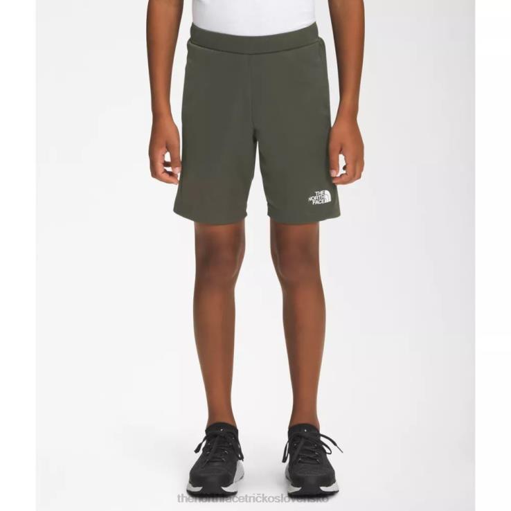 HLH085045 nová taupe zelená The North Face chlapci nikdy neprestanú pliesť tréning nakrátko