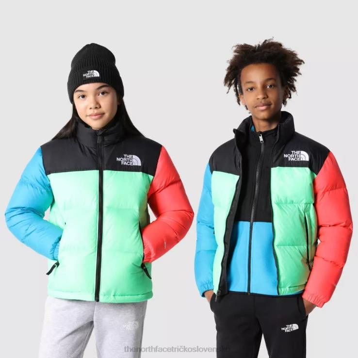 HLH081850 chlorofylová zelená The North Face tínedžerská retro bunda z roku 1996