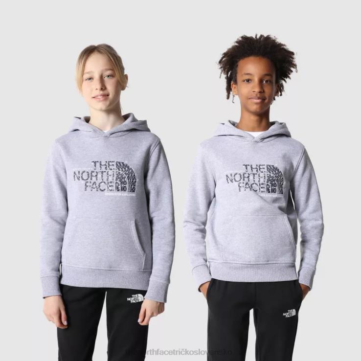 HLH082026 sivá The North Face tínedžeri nakreslili mikinu s kapucňou