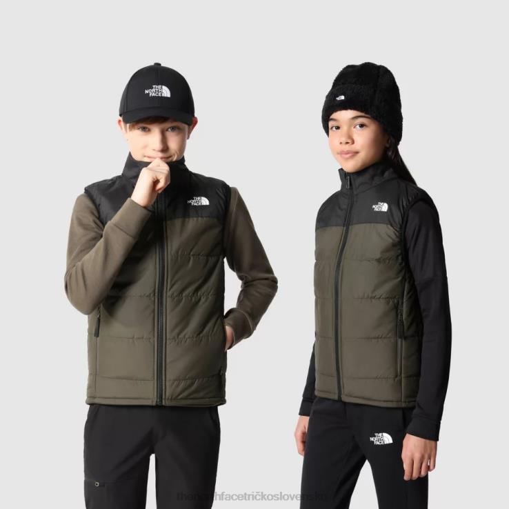HLH082220 nová taupe zelená The North Face tínedžeri nikdy neprestanú so syntetickou vestou