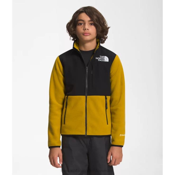 HLH085353 minerálne zlato The North Face tínedžerská denali bunda