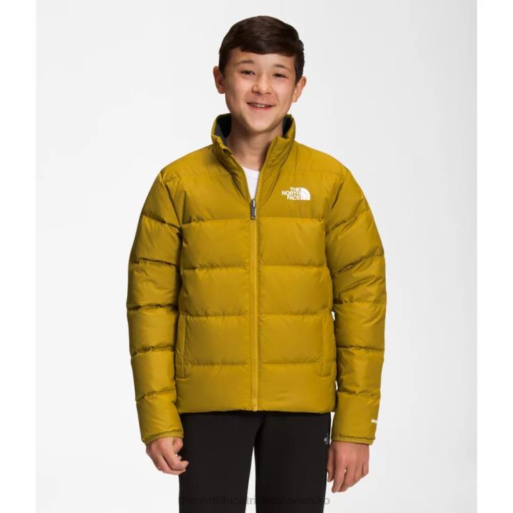 HLH085882 minerálne zlato The North Face tínedžerská obojstranná severná páperová bunda