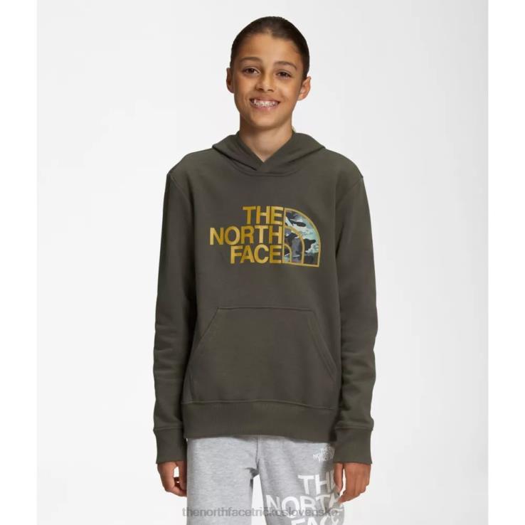 HLH085946 nová taupe zelená The North Face Chlapčenská táborová fleecová mikina s kapucňou