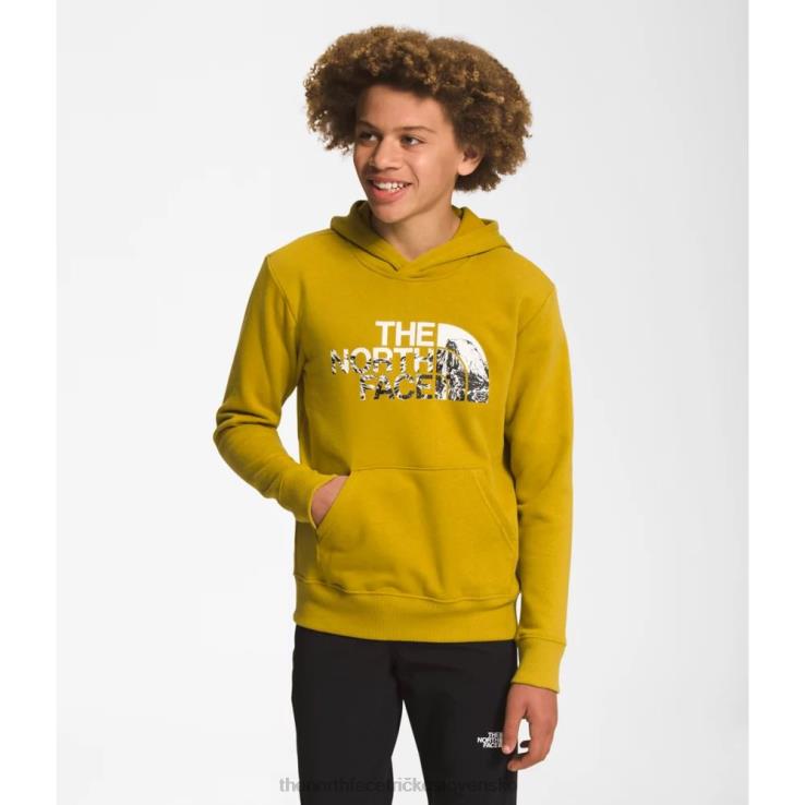 HLH085947 minerálne zlato The North Face Chlapčenská táborová fleecová mikina s kapucňou