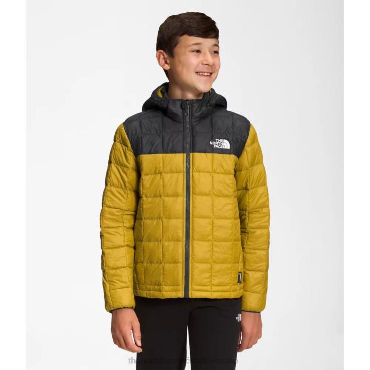 HLH085968 minerálne zlato The North Face chlapčenská termobalová bunda s kapucňou