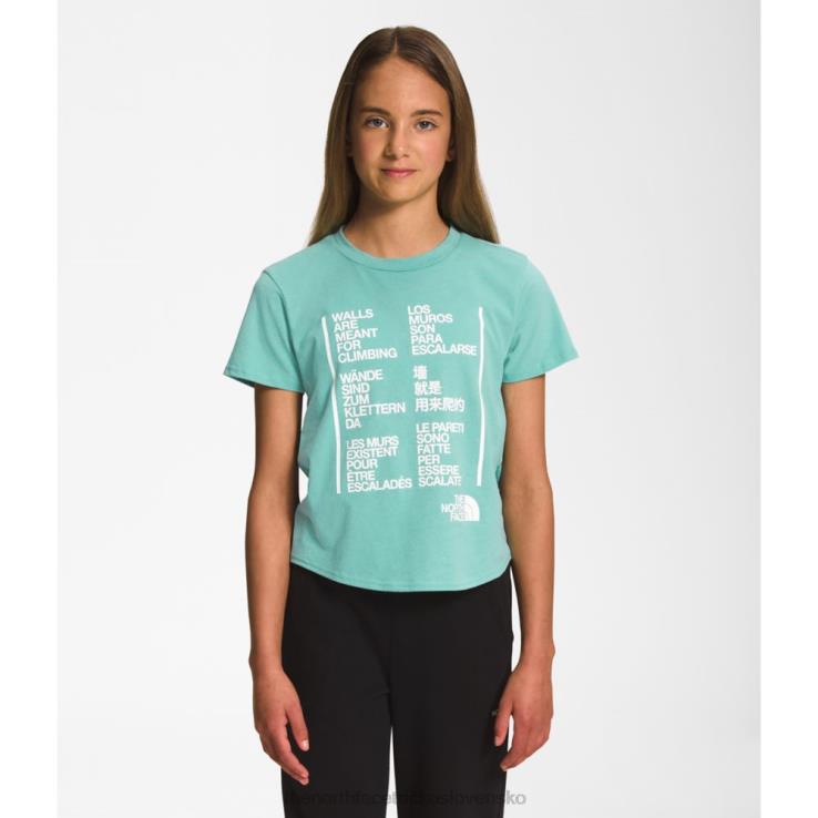 HLH085998 wasabi The North Face dievčenské tričko s krátkym rukávom s grafikou