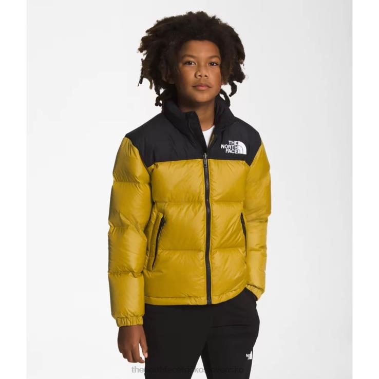 HLH086018 minerálne zlato The North Face tínedžerská retro bunda z roku 1996