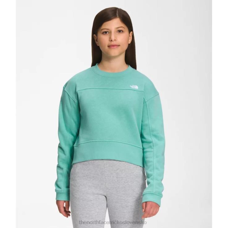 HLH086268 wasabi The North Face dievčenská táborová fleecová posádka