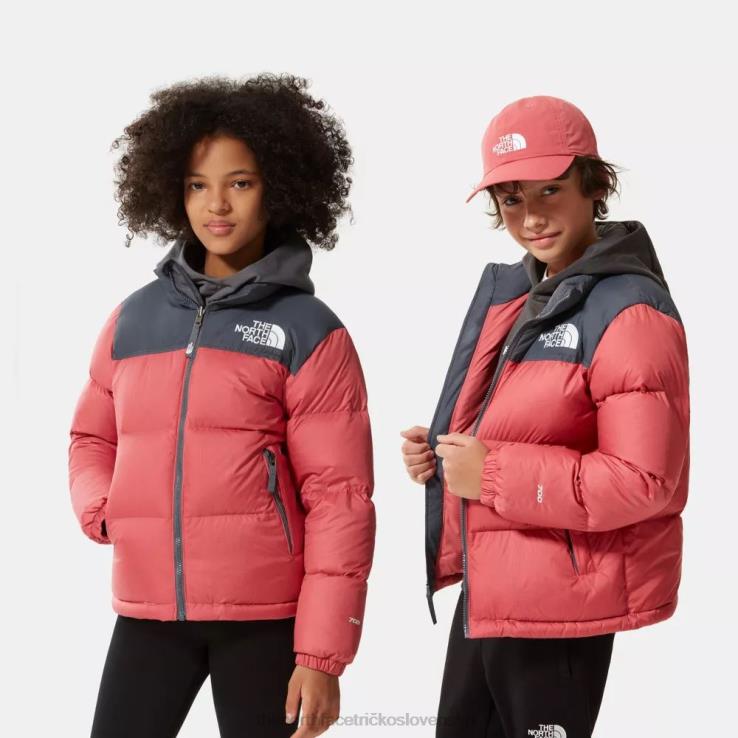 HLH08671 bridlicová ruža The North Face tínedžerská retro bunda z roku 1996