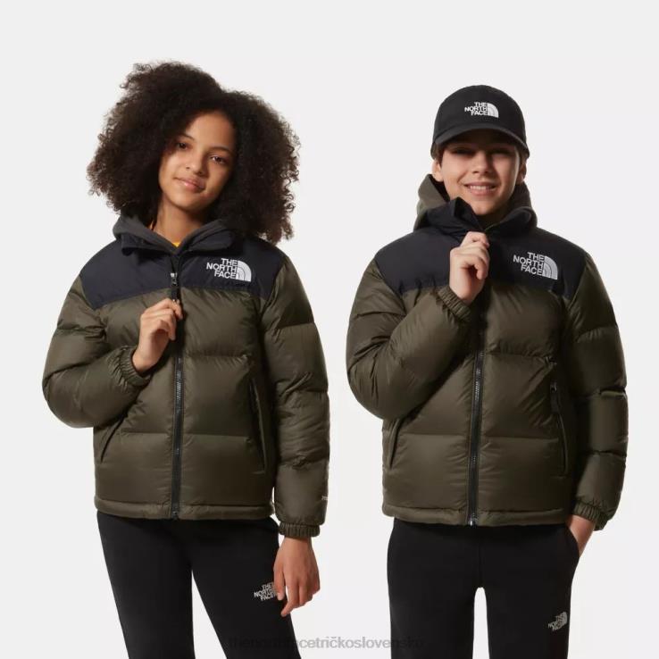 HLH08673 nová taupe zelená The North Face tínedžerská retro bunda z roku 1996