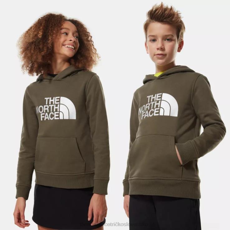 HLH0867 nová taupe zelená The North Face tínedžeri nakreslili mikinu s kapucňou
