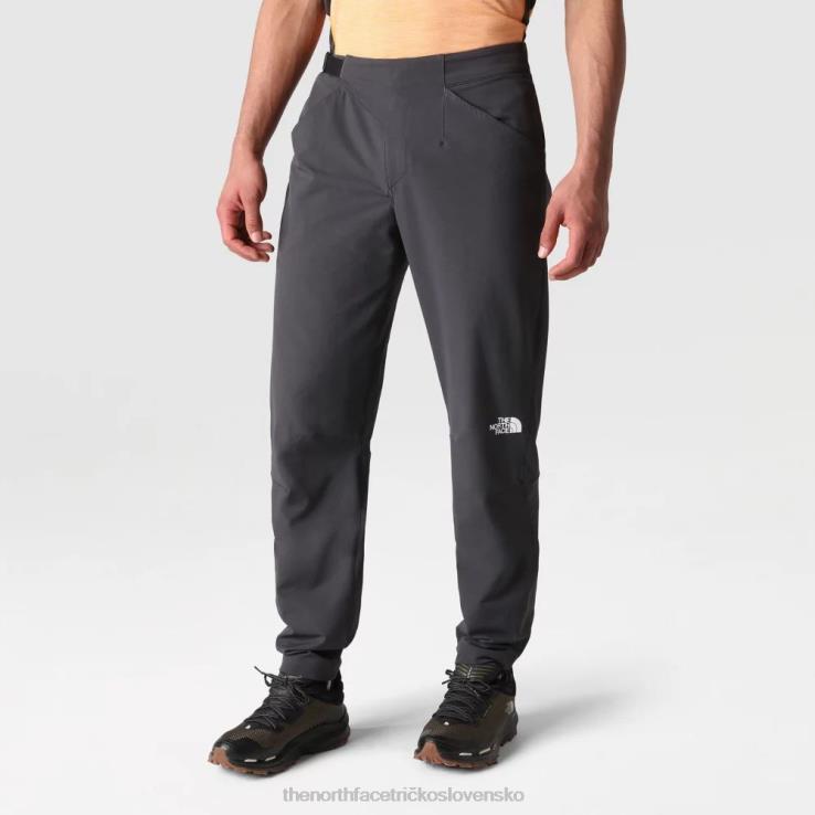HLH082075 sivá The North Face pánske športové outdoorové zimné bežné zúžené nohavice