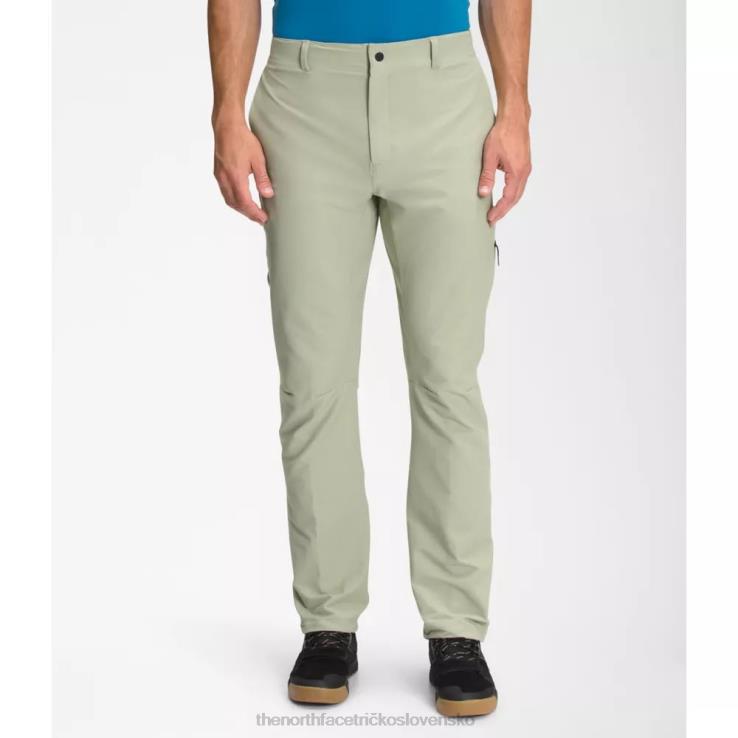HLH084459 zelený čaj The North Face pánske projektové nohavice