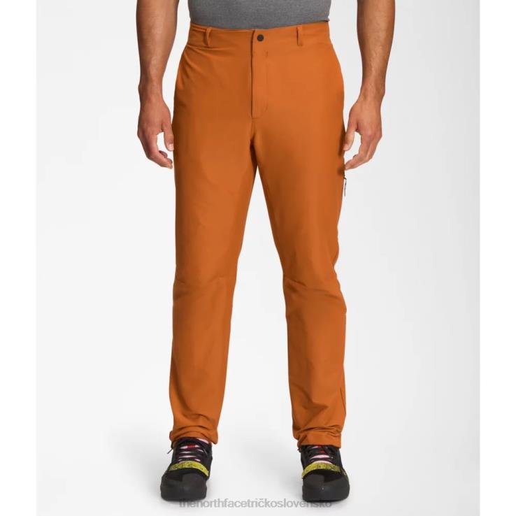 HLH084461 kožená hnedá The North Face pánske projektové nohavice