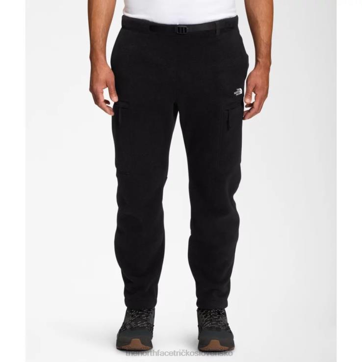 HLH085195 čierna The North Face pánske nohavice alpine polartec 200