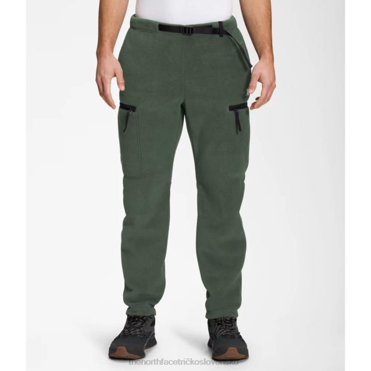 HLH085197 tymiánovo-čierna The North Face pánske alpine polartec 200 nohavice tymiánové čierne