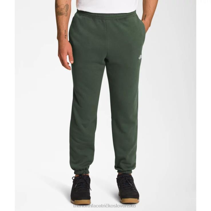 HLH085442 tymián The North Face pánske tepláky