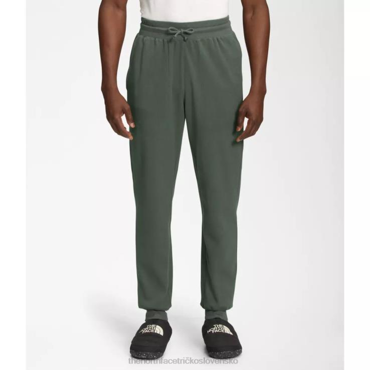 HLH086092 tymián The North Face pánske vaflové nohavice