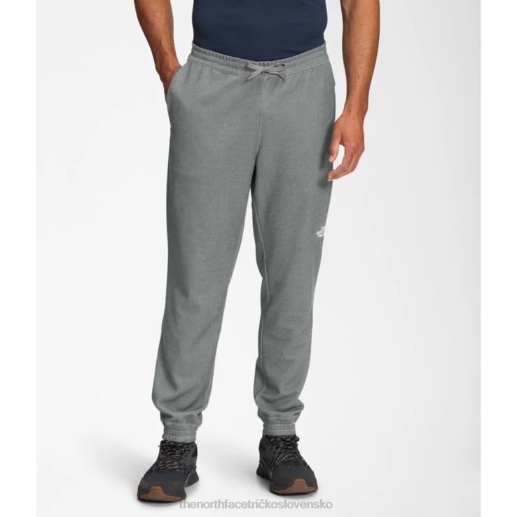 HLH086185 sivá The North Face muži veľká borovica stredná váha joggers