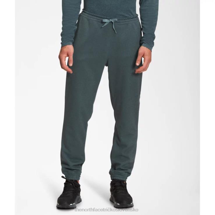 HLH086186 modrý vres The North Face muži veľká borovica stredná váha joggers