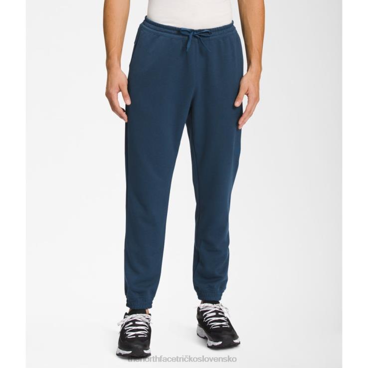 HLH086187 tienisté modré The North Face muži veľká borovica stredná váha joggers