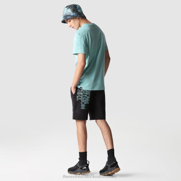 HLH08201 čierna-wasabi The North Face pánske grafické ľahké šortky čierne wasabi