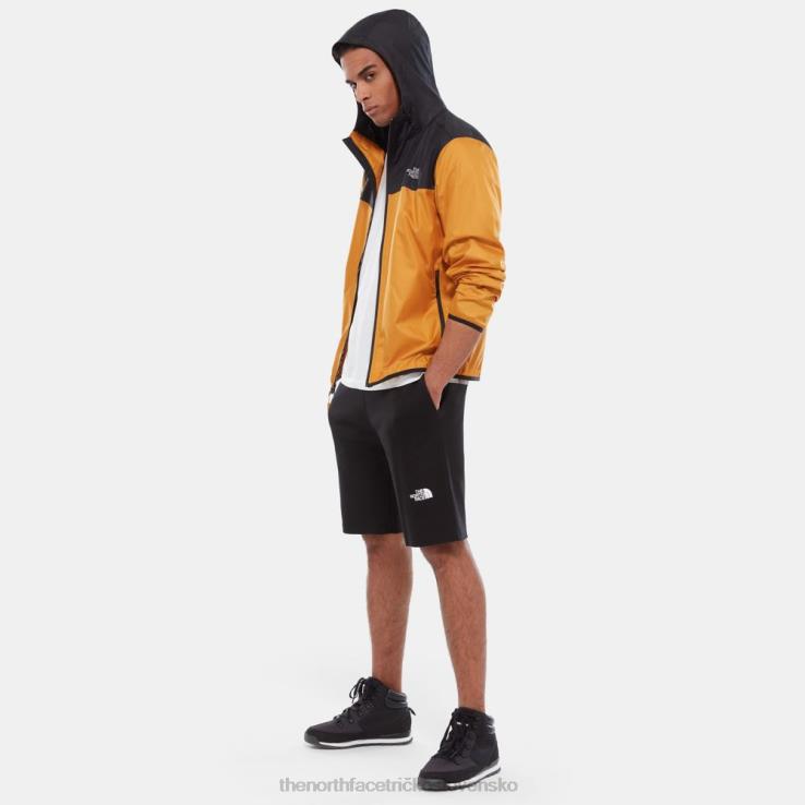 HLH08203 čierna The North Face pánske ľahké šortky s grafikou