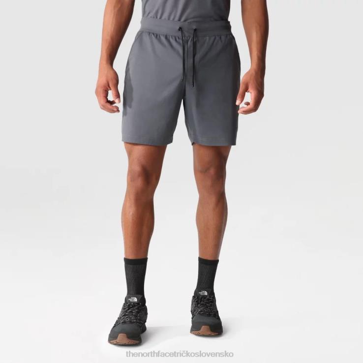 HLH082266 sivá The North Face muži zmenšujú šortky