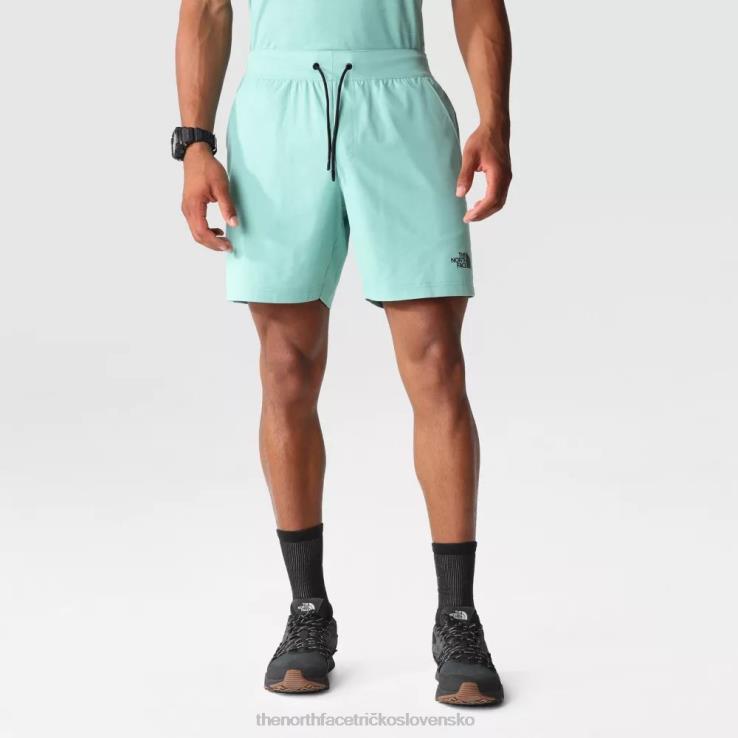 HLH082267 wasabi The North Face muži zmenšujú šortky