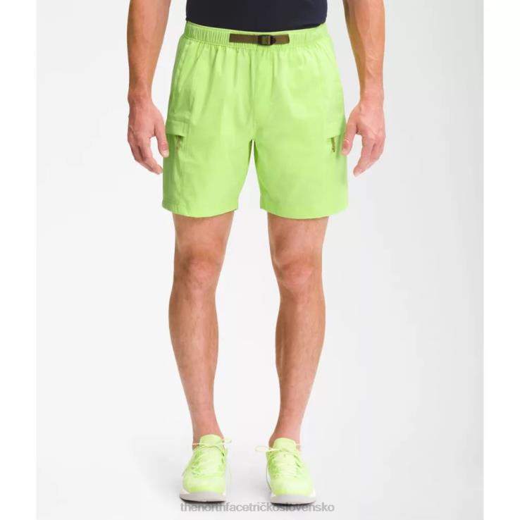 HLH083827 zelená The North Face pánske šortky s opaskom triedy V