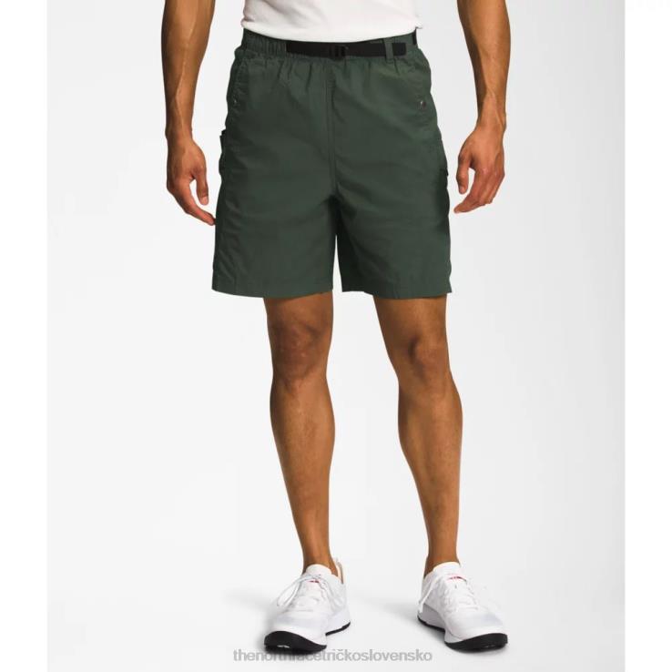 HLH084652 tymián The North Face pánske ripstop cargo easy šortky