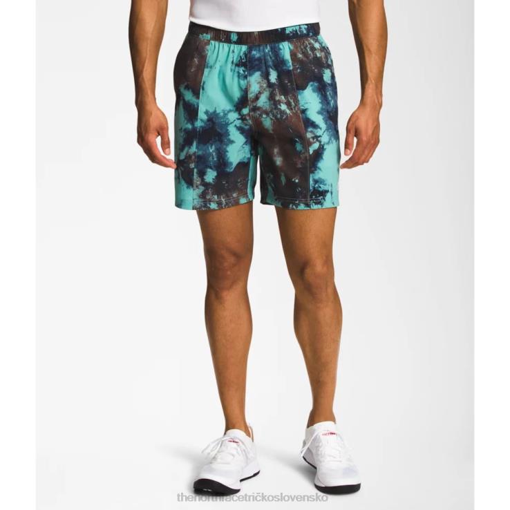 HLH084994 wasabi ľad The North Face muži tlačená trieda v natiahnite šortky