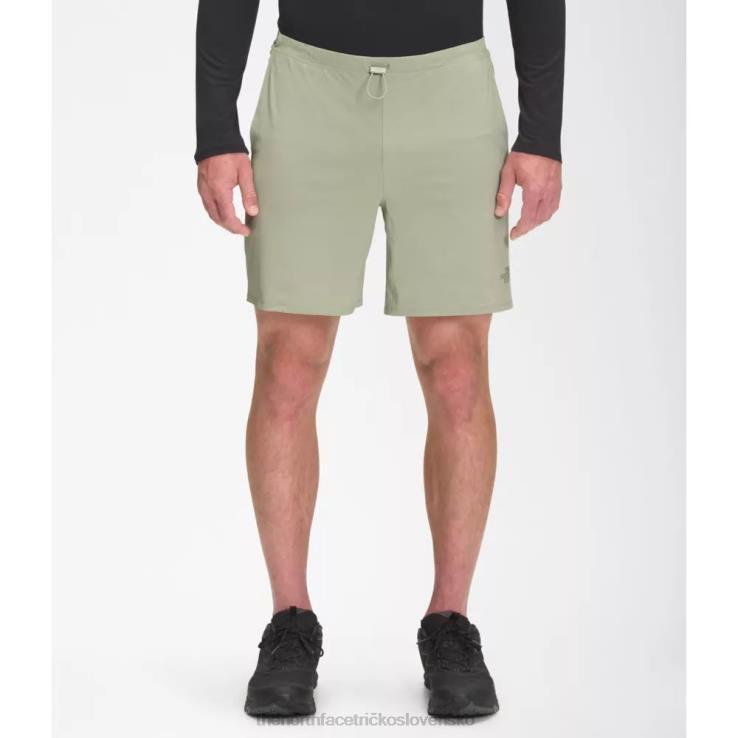 HLH085161 zelený čaj The North Face pánske klasické šortky