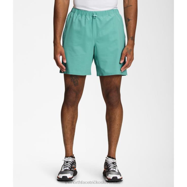 HLH085162 wasabi The North Face pánske klasické šortky