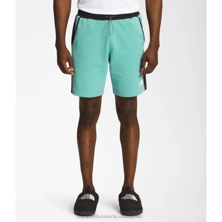 HLH085585 wasabi The North Face pánske tnf tech šortky