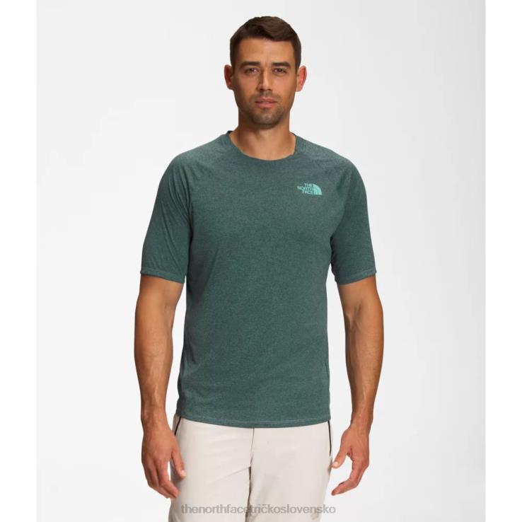 HLH084404 umývadlo modrá The North Face muži veľká borovica krátky rukáv posádky