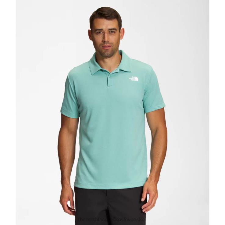 HLH084735 umývadlo modrá The North Face muži putujú pólo