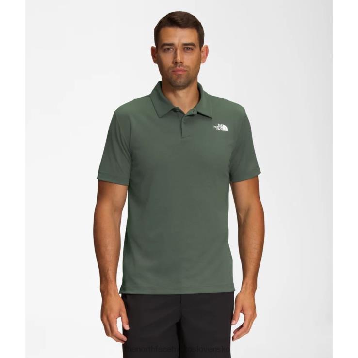 HLH084738 tymián The North Face muži putujú pólo
