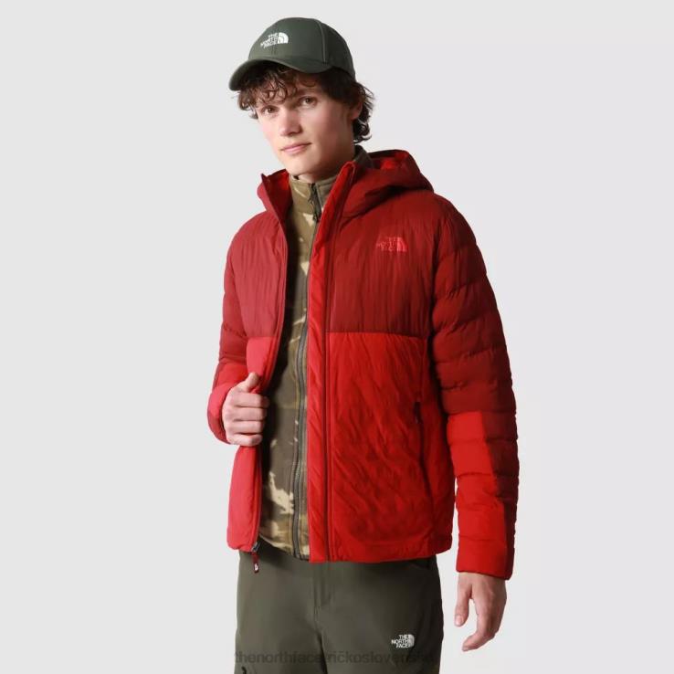 HLH081638 kordovan-červený The North Face pánska termobalová bunda 50/50 cordovan červená