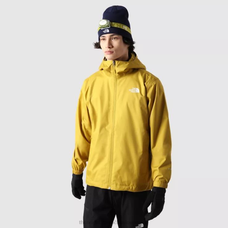 HLH082331 minerálne zlato The North Face pánska bunda s kapucňou