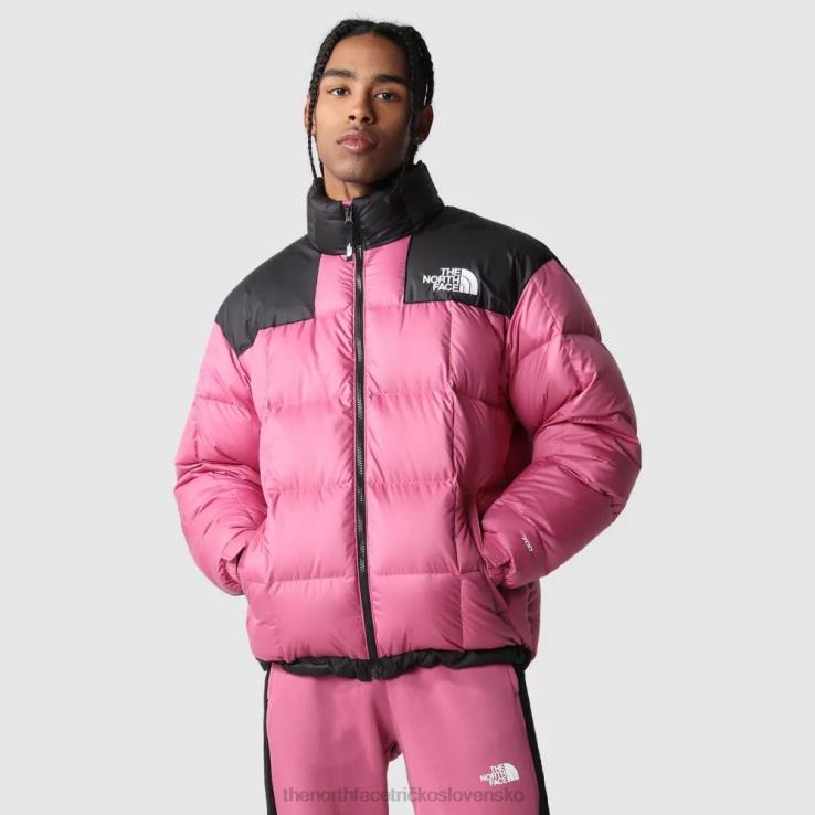 HLH08280 červená fialová The North Face pánska páperová bunda