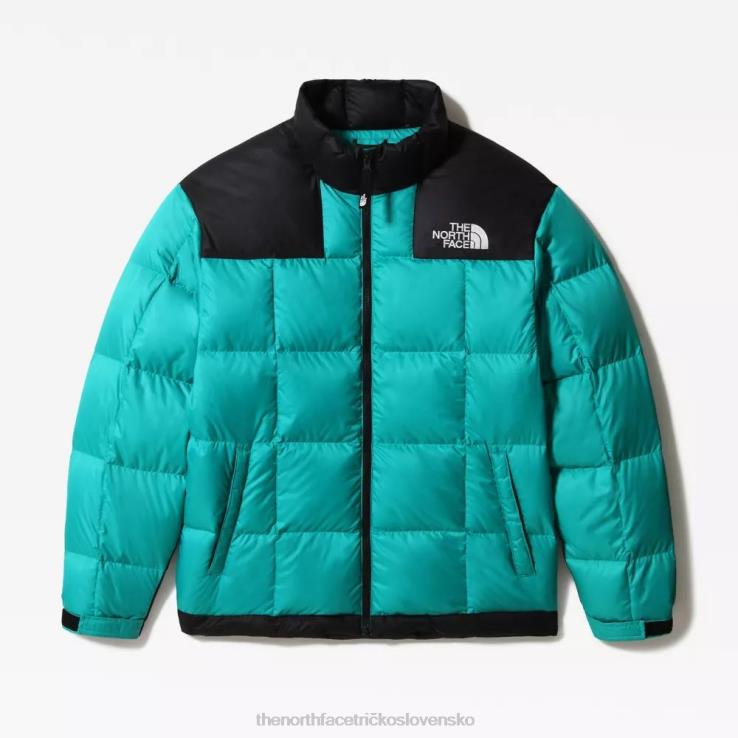 HLH08283 porcelánovo zelená The North Face pánska páperová bunda