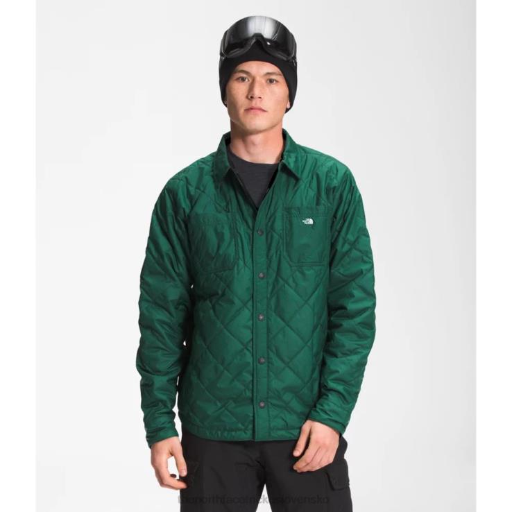 HLH083260 nočná zelená The North Face pánska pevnosť bod izolovaný flanel