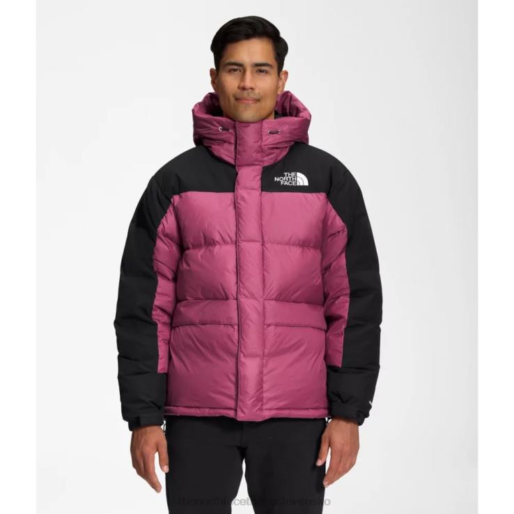 HLH083528 červená fialová The North Face muži hmlyn dole parka