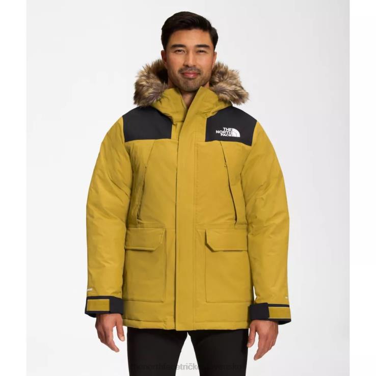 HLH084171 minerálne zlato The North Face pánska mcmurdo parka