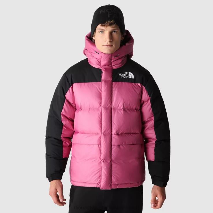 HLH08494 červená fialová The North Face pánska himalájska páperová parka