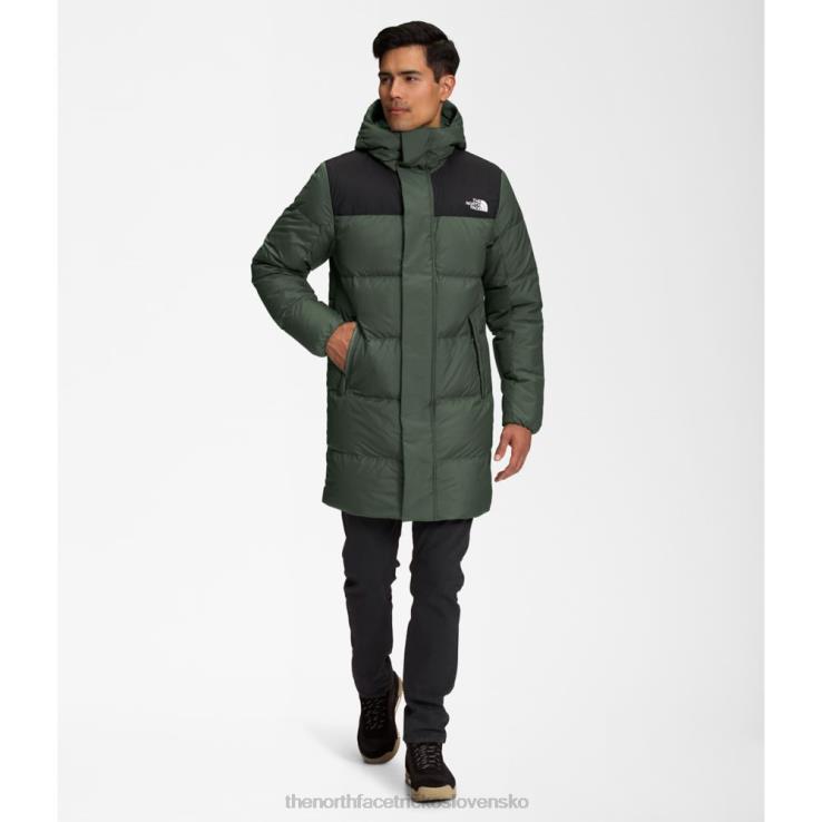 HLH085583 tymián The North Face muži hydrenalit dole stred