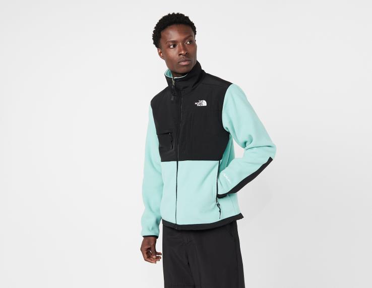 HLH086729 Modrá The North Face flísová bunda denali black box