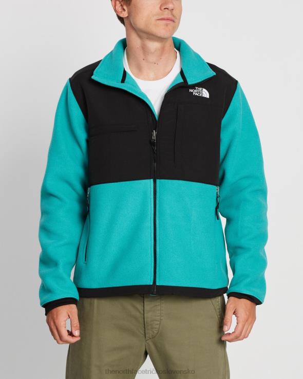 HLH086933 porcelánovo zelená The North Face denali 2 páperová bunda