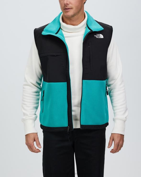 HLH087222 porcelánovo zelená The North Face denali 2 vesta
